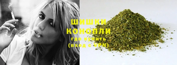 молекула духа Вяземский