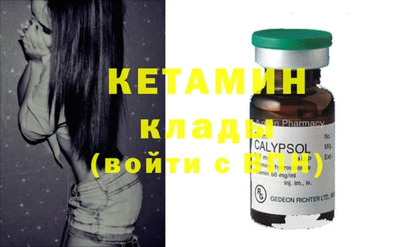 молекула духа Вяземский