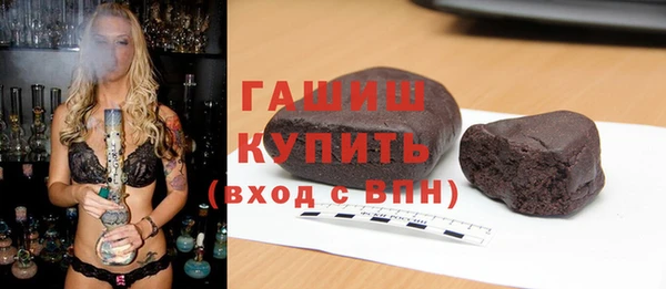 молекула духа Вяземский