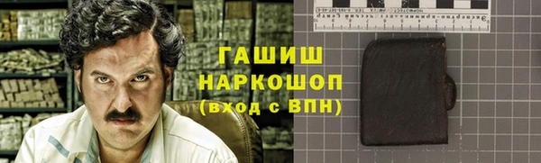 молекула духа Вяземский