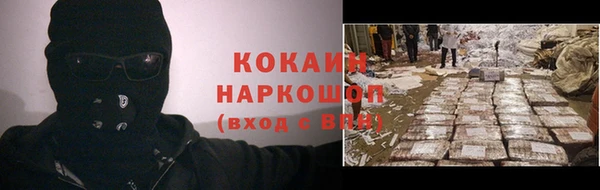 молекула духа Вяземский