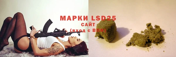 молекула духа Вяземский