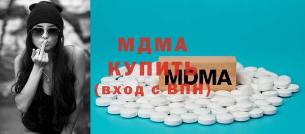 молекула духа Вяземский