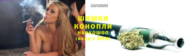 молекула духа Вяземский