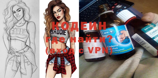 молекула духа Вяземский