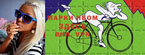 молекула духа Вяземский