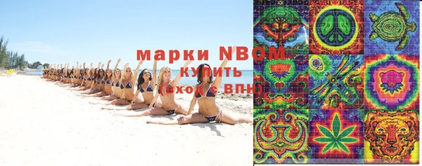 молекула духа Вяземский