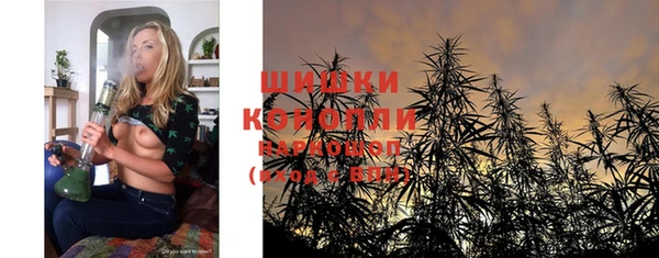 молекула духа Вяземский
