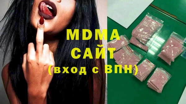 молекула духа Вяземский