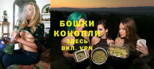 молекула духа Вяземский