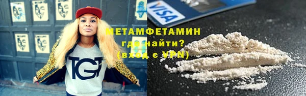 молекула духа Вяземский